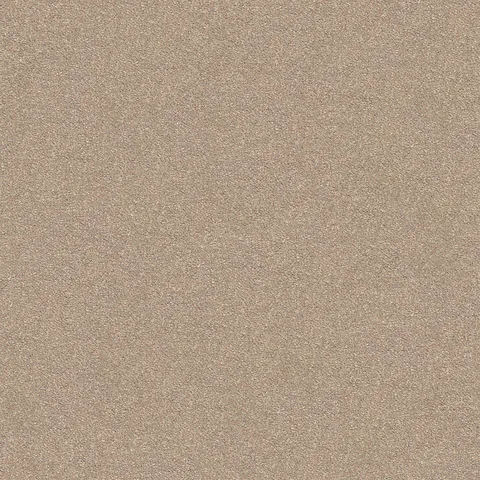 Soft Tan carpet swatch